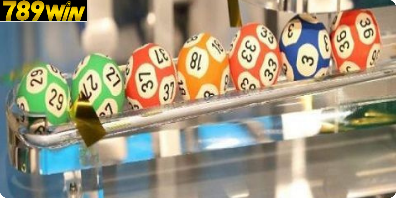 Tham Gia Nhiều Kỳ Quay