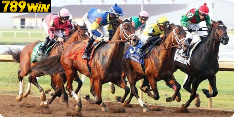 Các Loại Cược Đua Ngựa Phổ Biến