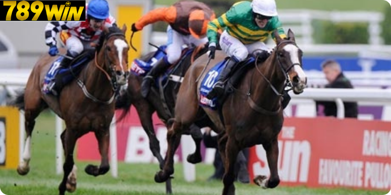 Các Hình Thức Cược Khác Nhau